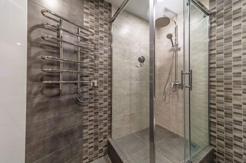 Stylish Shower Door